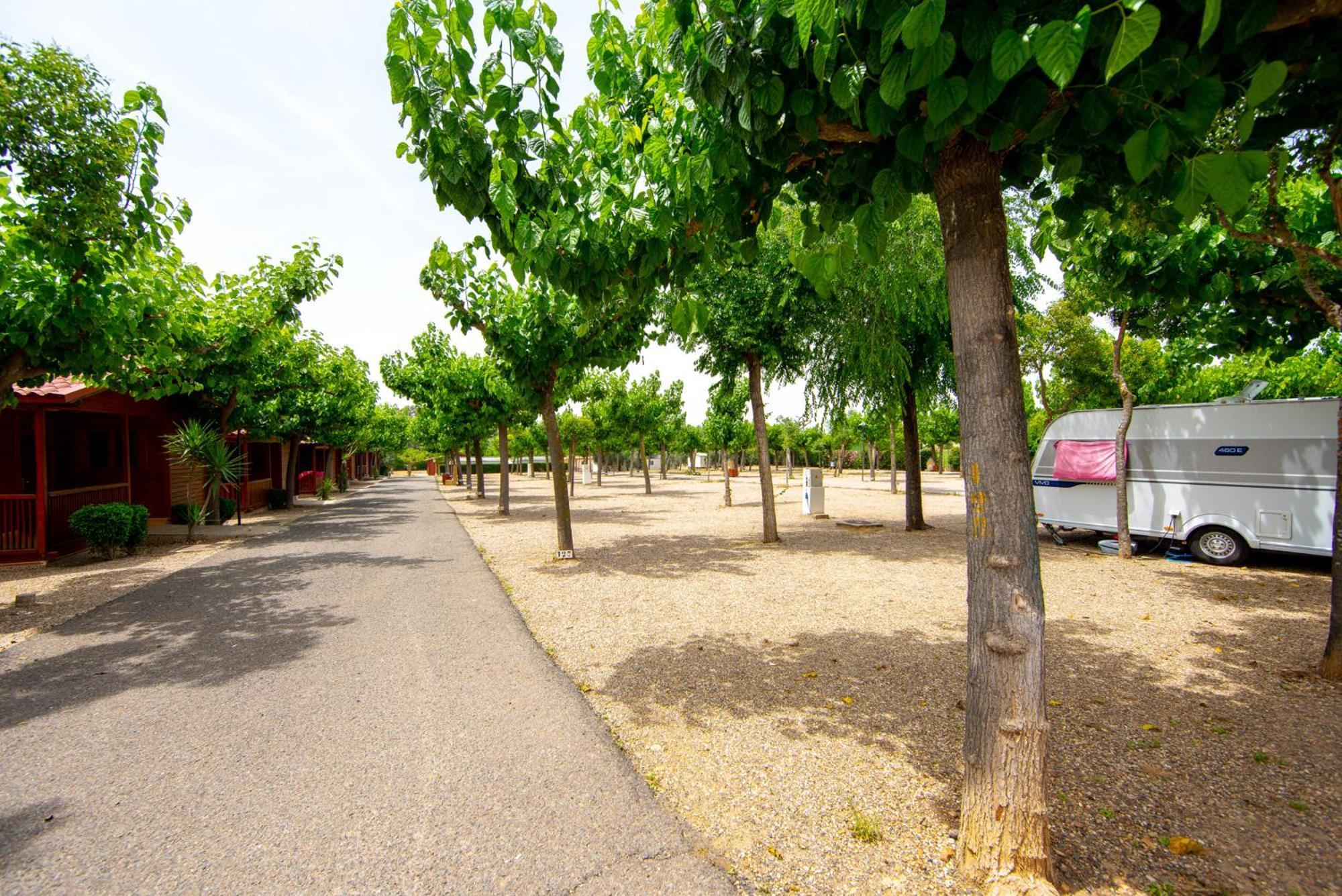 Camping Carlos III La Carlota Extérieur photo